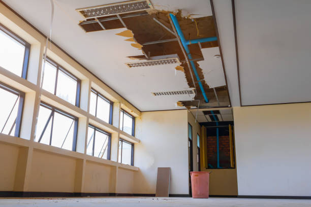 Best Ceiling water damage repair  in Moriarty, NM