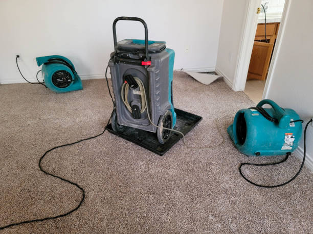 Best Water damage restoration near me  in Moriarty, NM