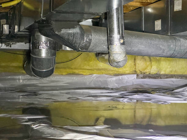Best Flood restoration services  in Moriarty, NM