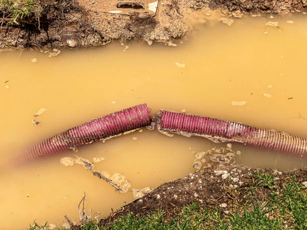 Best Basement water damage restoration  in Moriarty, NM